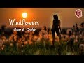 Seals & Crofts【Windflowers 1974】(Lyrics)(1080p)