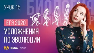 Усложнения по эволюции  | БИОЛОГИЯ ЕГЭ | Лина Клевер