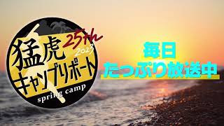 【阪神タイガース】猛虎キャンプリポート2023連日たっぷり生中継！