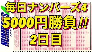 [毎日ナンバーズ4勝負]  勝負2日目の抽選結果はどうなったのか・・・!? (2021年11月9日抽選回)