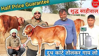 Sahiwal Gay 👍 जसविंद्र सिंह की सबसे बढ़िया साहीवाल गाय 👌 Krishna Dairy Farm Talk ✅ Dairy Cow Videos