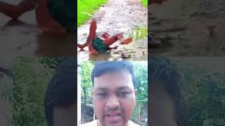 মেয়েটার হাতে বেলুন কিভাবে পড়ে গেল #foryu # YouTube short video