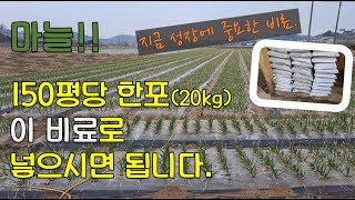 마늘!! 이비료로 웃거름 주세요!! 150평당 한포 넣으시면 됩니다.