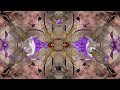 Woo - Ruby Ruby (Official Visualiser)