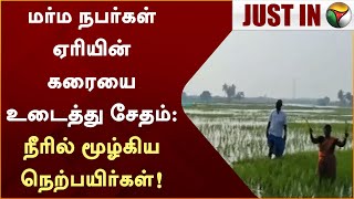 #Justin | மர்ம நபர்கள் ஏரியின் கரையை உடைத்து சேதம்: நீரில் மூழ்கிய நெற்பயிர்கள் | Kanchipuram | PTT