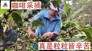 感恩有你，分享在哥斯达黎加寻找咖啡口粮