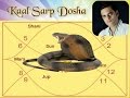 Reality of Kaal Sarp Dosha in Horoscope/Astrology