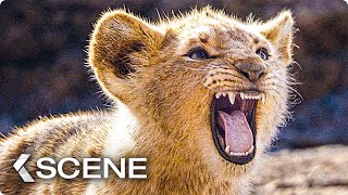 Baby Simba practice to Roar Scene - THE LION KING 2019)