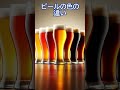 ビールの雑学　 雑学 ビール お酒