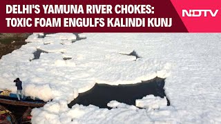 Pollution Level In Delhi | Delhi's Yamuna River Chokes: Toxic Foam Engulfs Kalindi Kunj