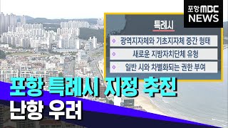 포항시 특례시 지정 추진..가능성은?