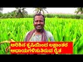 ಅರಿಶಿನ ಕೃಷಿಯಿಂದ ಲಕ್ಷಾಂತರ ಆಧಾಯಗಳಿಸುತಿರುವ ರೈತ -Turmeric Farming