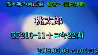 東海道線 鴨宮・国府津間　がんばれ！「桃太郎!!」  EF210－11　コキ22両 2018 05 08