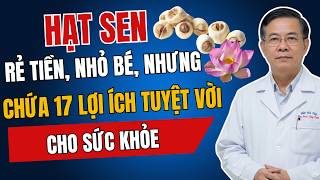 HẠT SEN | 17 Lợi Ích Tuyệt Vời Cho Sức Khỏe, Càng Ăn Càng Tốt