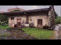 His Grandpa house and garden abandoned for many years, young man clearing and renovated it