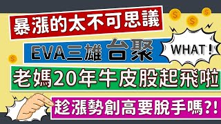 老媽20年的台聚終於飆高音啦！要賣掉嗎？！EVA塑膠三雄~台聚/亞聚/台塑大剖析！原物料需求仍舊強強滾？古雷投資案帶來新一波高音？！CC字幕