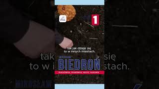 Czas na wycieczkę do ogródków działkowych - to miejsce w Tarnowie łączy pokolenia - Mirosław Biedroń