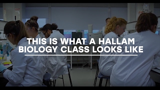 This is what a Hallam biology class looks like