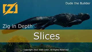 Zig in Depth: Slices