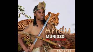 3. Andy Muridzo ft Sam Dondo - Tirivehumambo (Official)