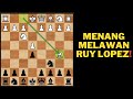 CARA MENANG MELAWAN PEMBUKAAN CATUR RUY LOPEZ!