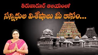 SRI SIVANIDHI SIVALAYAALU || Episode 19 II  #Thiruvarur   తిరువారూర్ ఆలయం లో సన్నిధుల విశేషాలు