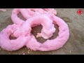 satisfying video l how to make color ful foam with animals mentos vs coca cola popular sodas