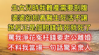 生女兒時我難產需要剖腹，婆婆卻抓着醫生死活不讓，說反正是個賠錢貨死就死了，罵我淨花冤枉錢要老公離婚，不料我當場一句話驚呆衆人