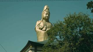 石川県4大珍スポットの一つ『観音院加賀寺』に行ってきた