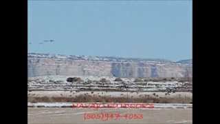 NAVAJO OUTDOORS  youtube