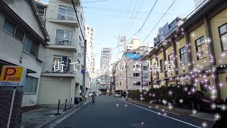 2025.２.23 Sun. 街で見かけた風景①