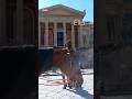 Il Roseto del Teatro Massimo di Palermo 💝DicoFaccioCreo Gabriella 🍃 Vlog Sicily