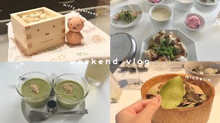 vlog よく食べた2日間 ミッフィーおやつ堂 |ミシュラン⭐️ルカンケ | NOON | マツキヨHaul | おすすめパック