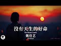 魏佳艺 Wei Jiayi - 没有天生的好命【Pinyin + Eng Sub | 梦幻音乐 | 简体拼音英文动态字幕】