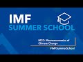 IMF SUMMER SCHOOL: Macroeconomics of Climate Change (MCCx)