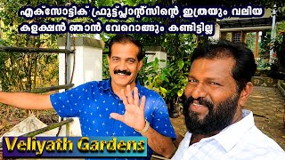 Collection of over a thousand exotic fruit plants ! That,s Veliyath Garden #SumusVlog #Veliyathufam