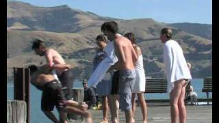 Akaroa | Dolphins Swimming and so Much More!