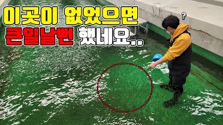 백만마리의 연어를 키우는 곳에 갔는데..여러분 보신적 있으신가요?