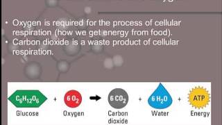 A&P Chapter 2- Chemistry of Life