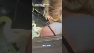 Florida Fire Crew Helps to Rescue Python Trapped in Car