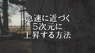 急速に近づく５次元に上昇する方法　【オーロラ・レイ氏　チャネリングメッセージ】