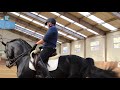 서정균의 original dressage – 젠 트레이닝 영상 3 zen dressage training 승마서점