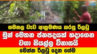 රිලා ජනපදයක් වූ සමනල වැව දැන්ම් මේක විපතක් වෙලා තියන්නේ