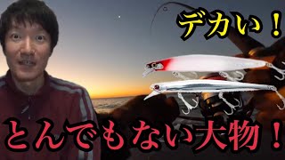 真冬の遠州灘サーフで釣りしたら…どんでもない大物が🔥