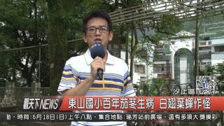 1060613觀天下新聞HD07 汐止區東山國小百年茄苳生病 白翅葉蟬作怪