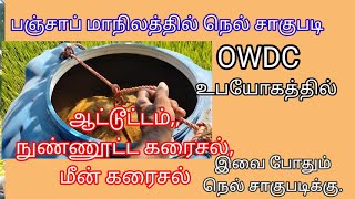 @deejayfarming8335 OWDC பயன்படுத்தி நெல் சாகுபடி.