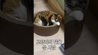 포즈 사람 같음; 수상함;;