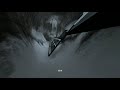 surf_boreas wr by levi