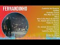 F e r n a n d i n h o 2024 MIX Iconic Tracks Playlist