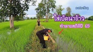 ปักเบ็ดในนาข้าวน้ำใหม่กำลังท่วม ยักษ์ใหญ่ลากเบ็ดจมหายต่อหน้าต่อตา/สถิติใหม่ปี 65